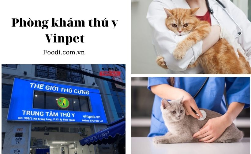 top 20 phòng khám thú y gần đây uy tín nhất tại sài gòn – tphcm