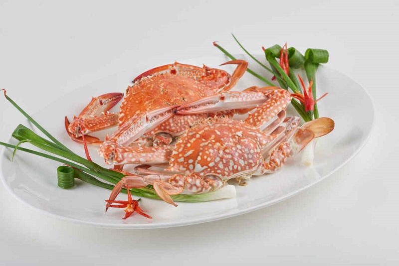 Top 20 Quán ăn, nhà hàng huyện Bình Chánh ngon nổi tiếng tha hồ “đãi khách”