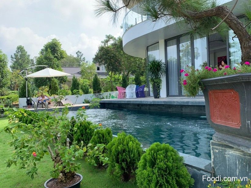 top 15 biệt thự flamingo đại lải villa giá rẻ đẹp có hồ bơi nguyên căn
