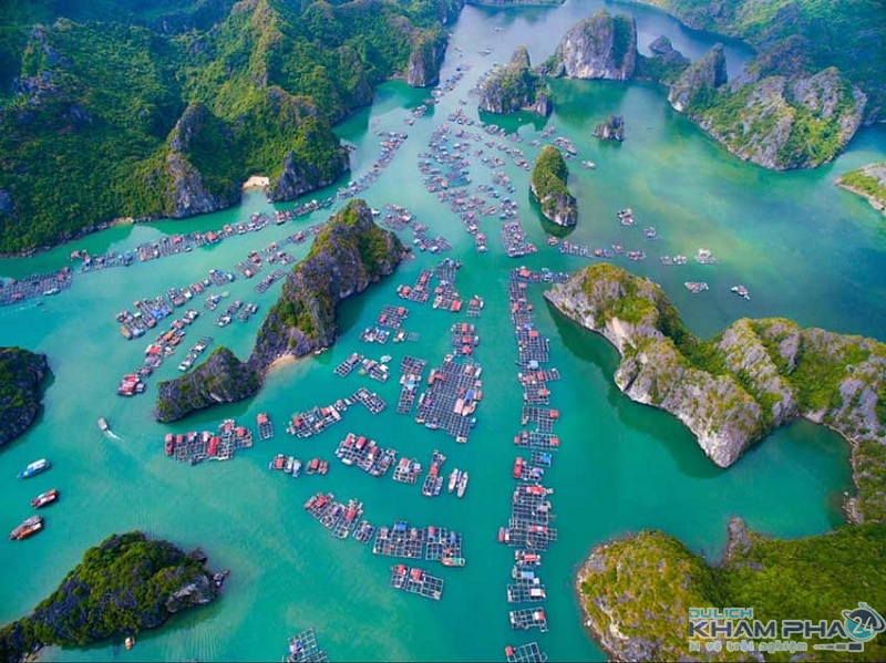 Kinh nghiệm du lịch Vịnh Lan Hạ tự túc 2021 nổi tiếng Hải Phòng