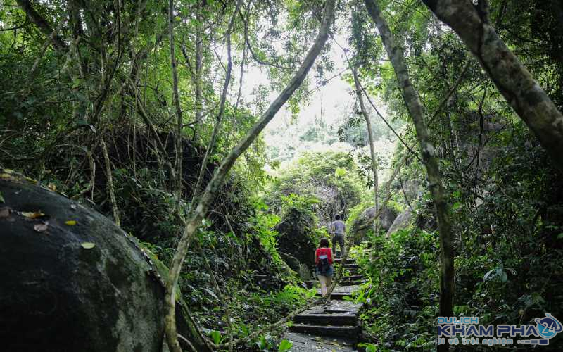 Trải nghiệm rừng độc đáo tại khu du lịch Madagui Lâm Đồng