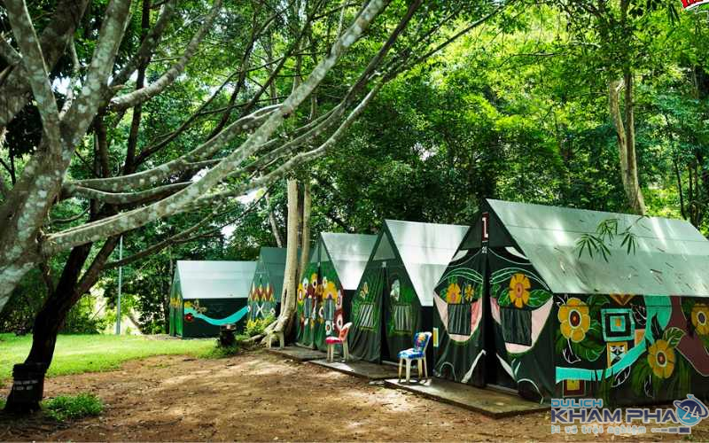 Trải nghiệm rừng độc đáo tại khu du lịch Madagui Lâm Đồng, khu du lịch madagui