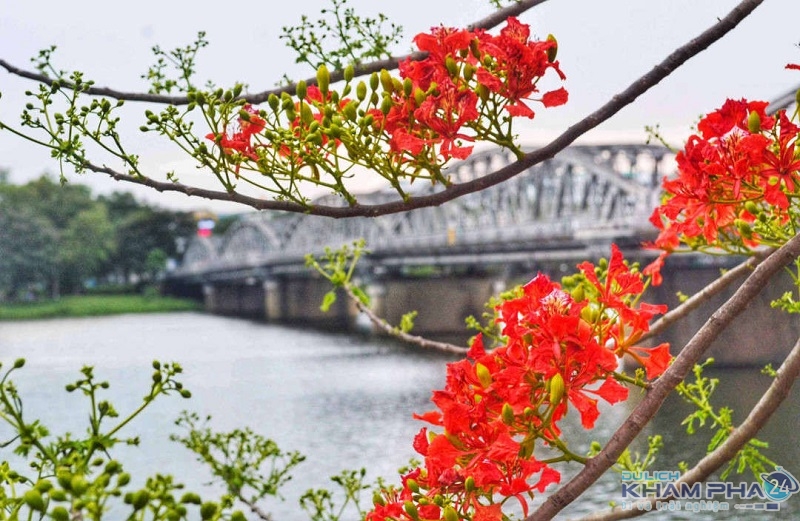 Cầu Trường Tiền Huế nét đẹp lôi cuốn biểu tượng của vùng đất cố đô