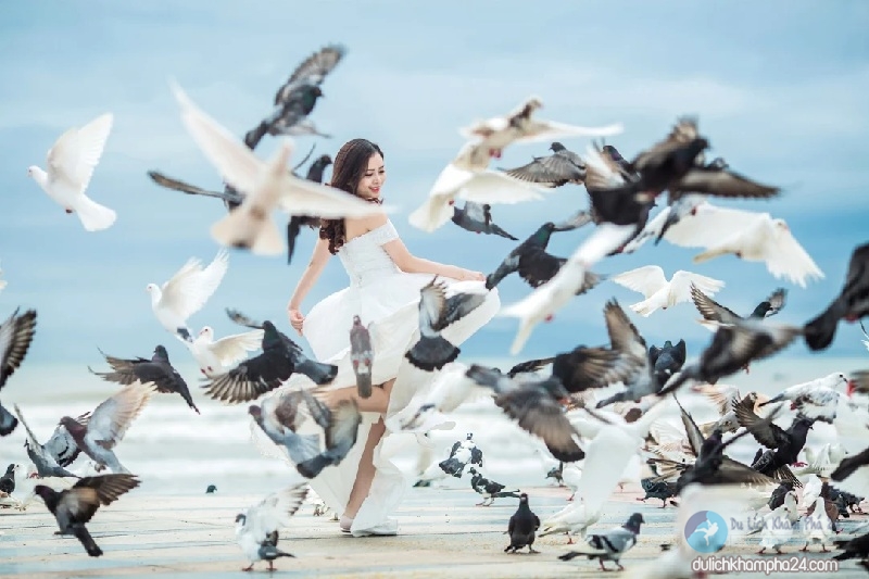 Công Viên Biển Đông Đà Nẵng check-in cùng hàng ngàn chim Bồ Câu
