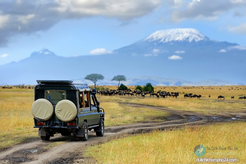 Kinh nghiệm du lịch Kenya tự túc 2021 “giá rẻ” ăn chơi thả ga