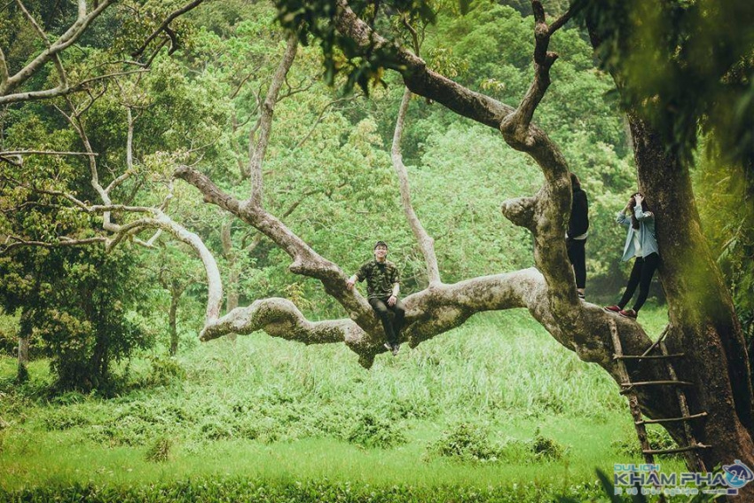 Bật Mí Ngay 5 Nơi Được Ví Như Chốn Thần Tiên Tại Đà Nẵng, Cối Tiên, tour du lich da nang, tour đà nẵng