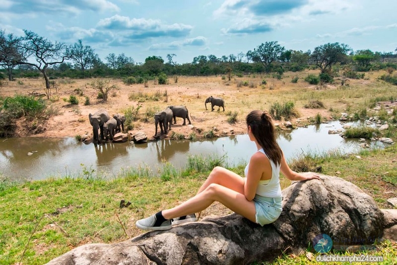 Kinh nghiệm du lịch Nam Phi tự túc 2020 “giá rẻ” ăn chơi thả ga