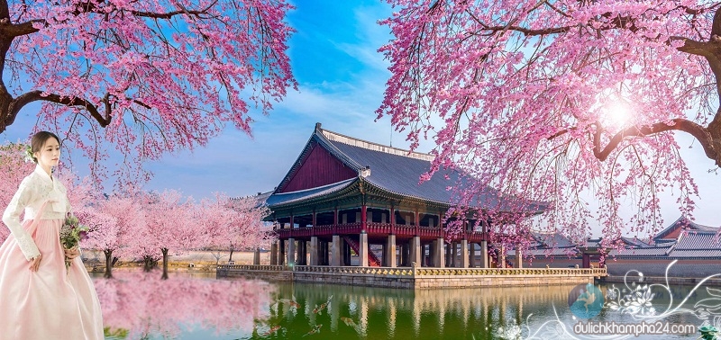 Kinh nghiệm du lịch Hàn Quốc tự túc 2020 “siêu rẻ” vui chơi thả ga