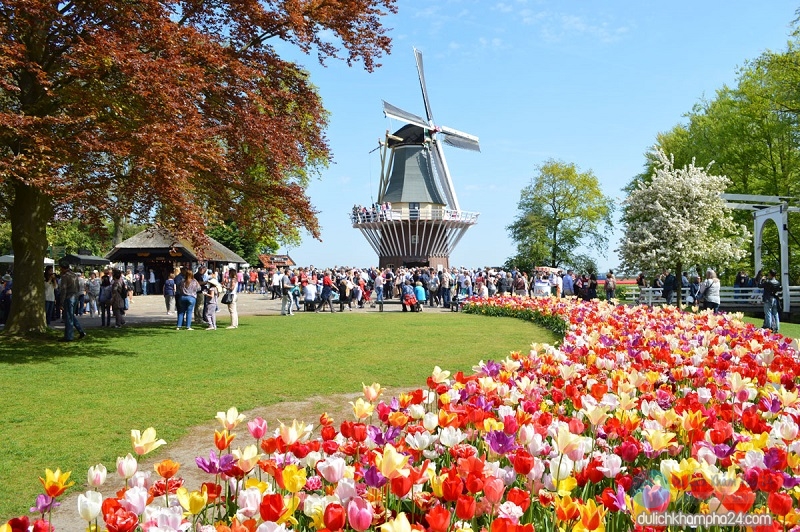 Kinh nghiệm du lịch Hà Lan tự túc 2020 “giá rẻ” ăn chơi thả ga