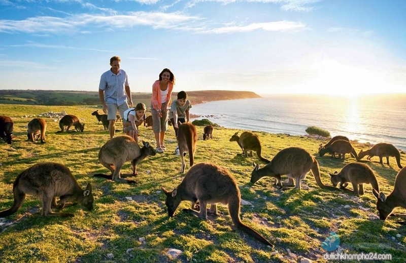 Kinh nghiệm du lịch Úc (Australia) tự túc 2020 ăn chơi giá rẻ thả ga