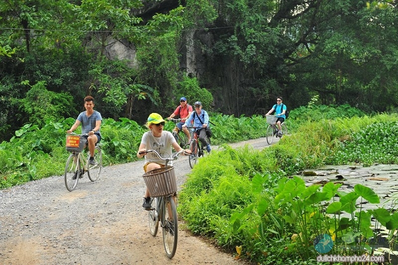 26 địa điểm du lịch Ninh Bình khiến du khách mê mẩn