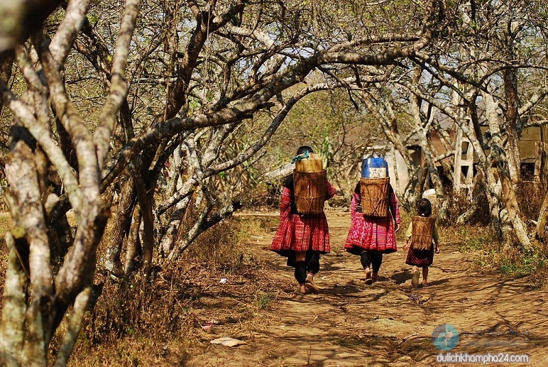 Ghé thăm những bản làng ở Sapa – Một nét đẹp của vùng núi Tây Bắc, bản làng Sapa, bản ở Sapa