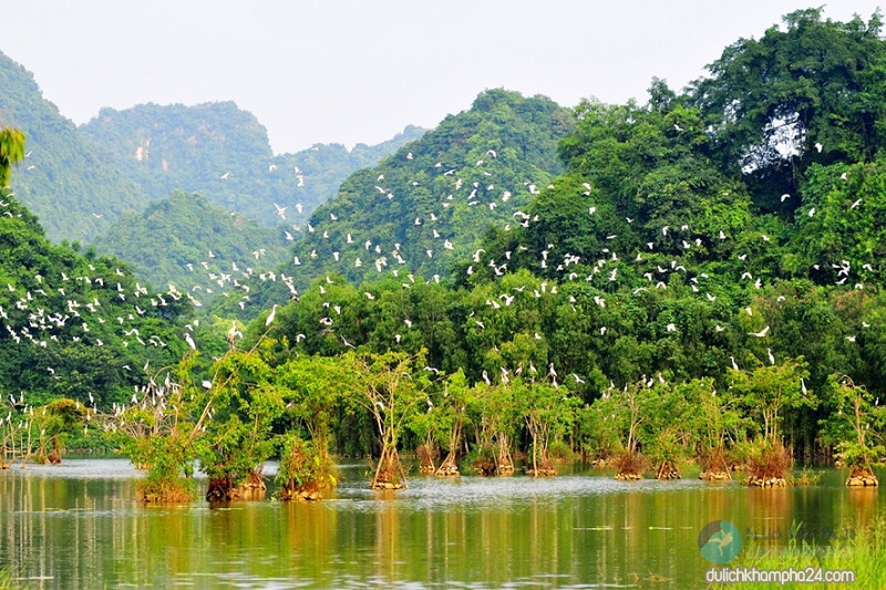 1 ngày ở Thung Nắng Ninh Bình nên làm gì cho trọn?