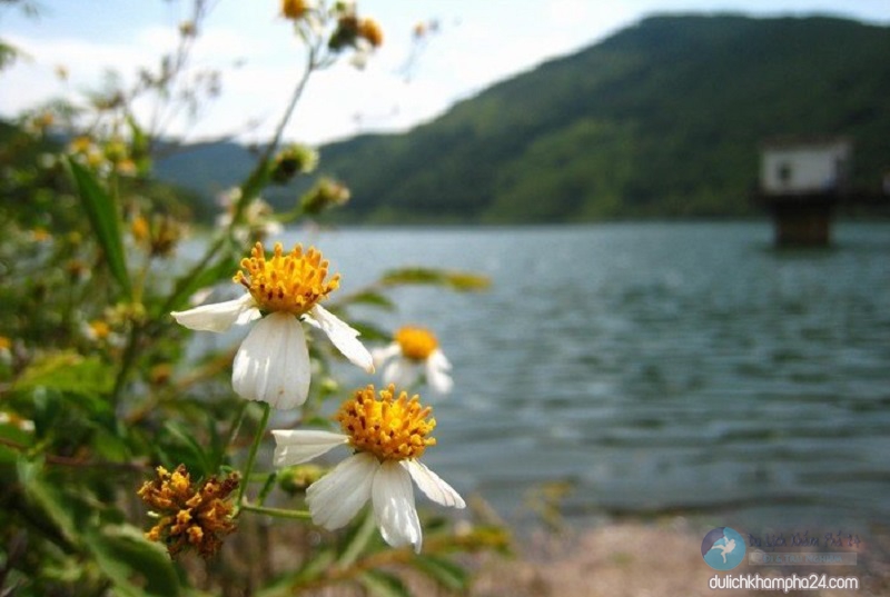 Cuối tuần phượt hồ Xạ Hương Vĩnh Phúc – Thiên đường xanh quyến rũ