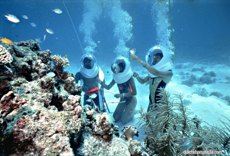 Không biết bơi có lặn ngắm san hô ở Cù Lao Chàm được không?