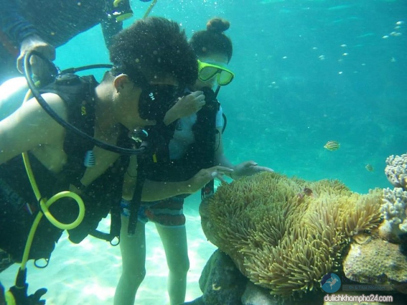 Không biết bơi có lặn ngắm san hô ở Cù Lao Chàm được không?