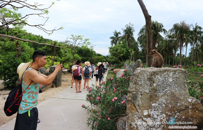 Khu du lịch Hòn Lao Đảo Khỉ Nha Trang ở đâu, có gì, giá vé thế nào?, đảo khỉ nha trang ở đâu