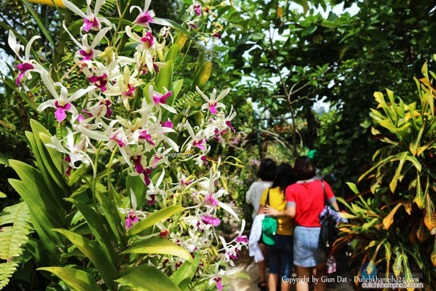 Khu du lịch Suối Hoa Lan Nha Trang ở đâu, có gì, giá vé thế nào?, suối hoa lan ở đâu