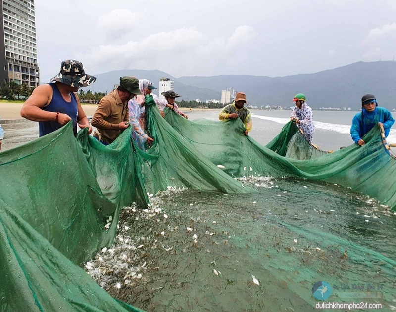Cùng kéo lưới đánh bắt cá ở bãi biển với ngư dân Đà Nẵng, biển đà nẵng, đà nẵng, đánh bắt cá, ngư dân đà nẵng