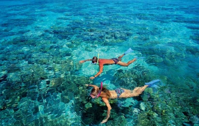 kinh nghiệm lặn biển ngắm san hô côn đảo bạn nên biết
