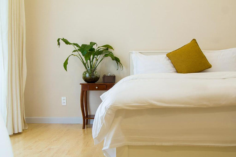 anada hotel suites đà lạt – lựa chọn hoàn hảo cho kỳ nghỉ gia đình