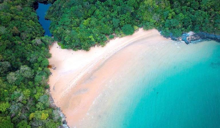 top 7 bãi biển đẹp nhất tại côn đảo bạn không nên bỏ lỡ
