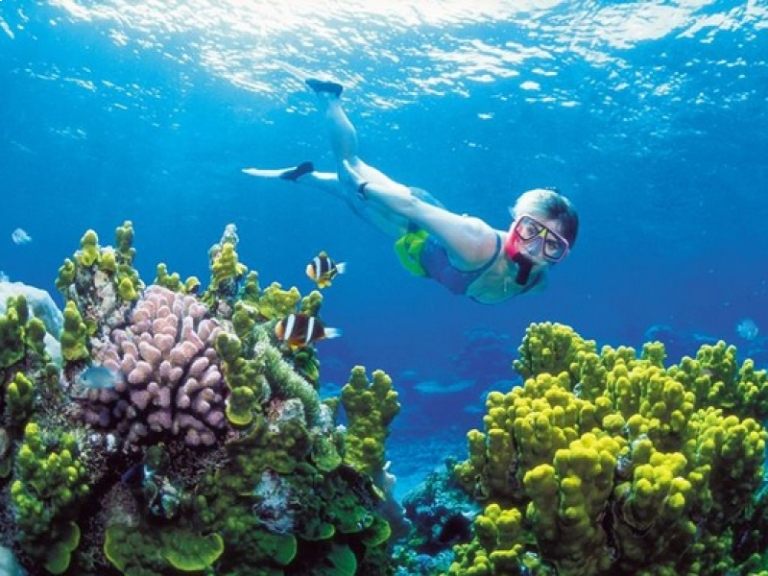 7 địa điểm lặn ngắm san hô đẹp nhất tại phú quốc