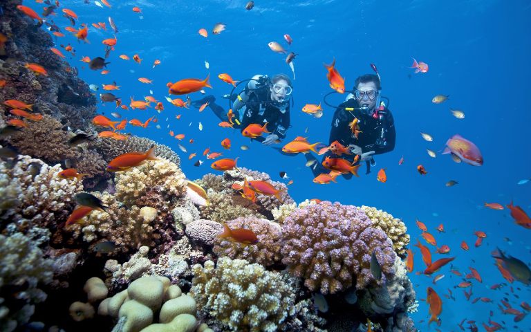 7 địa điểm lặn ngắm san hô đẹp nhất tại phú quốc