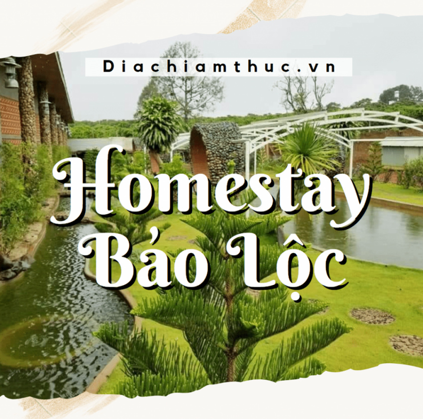 MÁCH BẠN Top 20 homestay Bảo Lộc giá rẻ, view đẹp gần trung tâm, đồi chè, nhà thờ