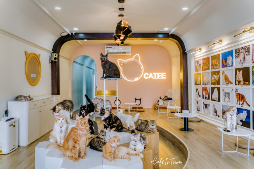 catfe coffee – 119 nguyễn thị minh khai, quận 1, hcm