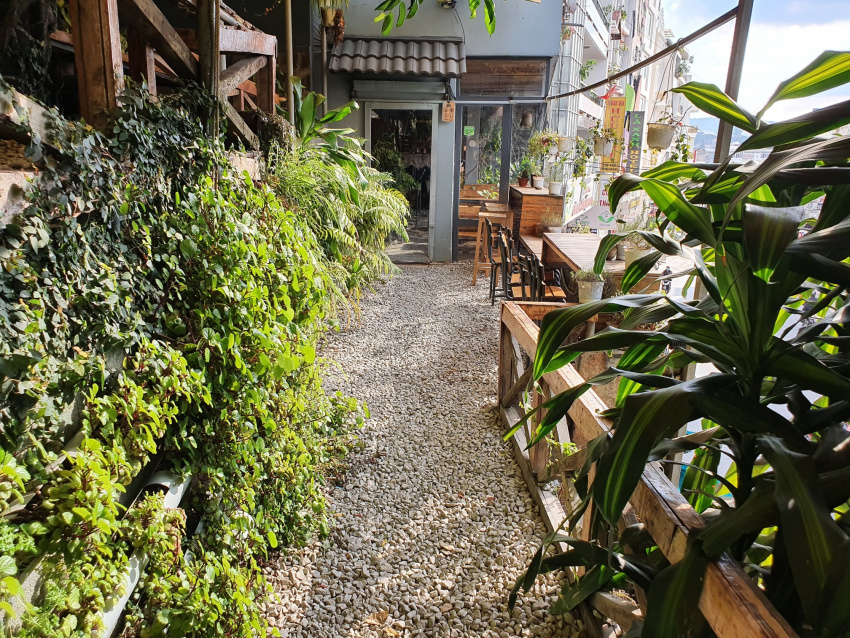 an cafe – đường 3 tháng 2, thành phố đà lạt, lâm đồng