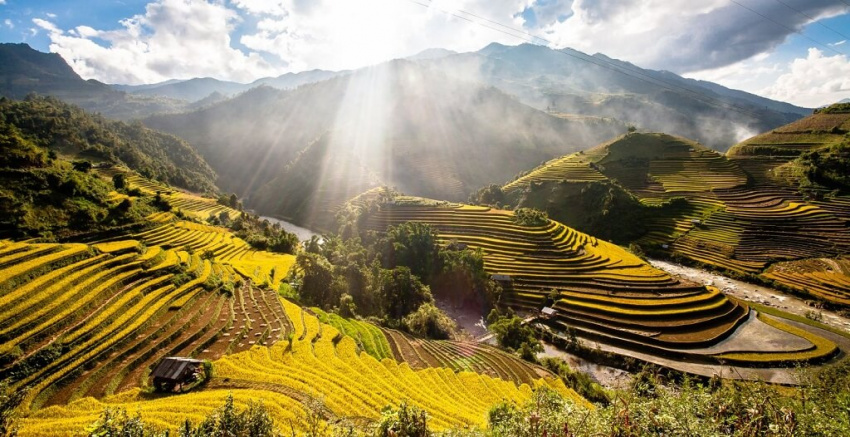 7 địa danh ngắm ruộng bậc thang đẹp nhất Việt Nam