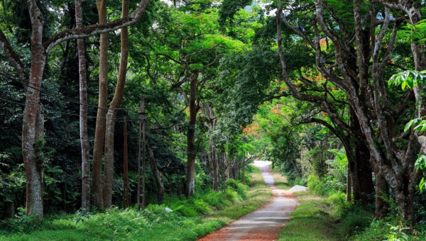 Khám phá 10 vườn quốc gia Việt Nam nổi tiếng nhất