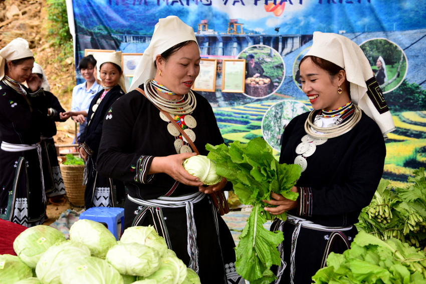 na hang tuyên quang, lúa chín, hồng thái na hang tuyên quang, du lịch tuyên quang, du lịch na hang, du lịch hồng thái, du lịch đông bắc, hồng thái na hang – địa điểm du lịch bốn mùa