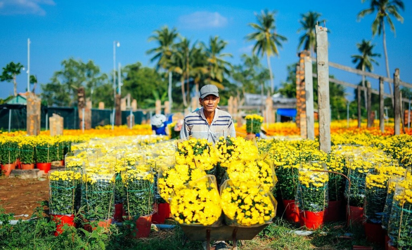 Ghé thăm 15 làng hoa nổi tiếng ở Việt Nam (Phần 2)