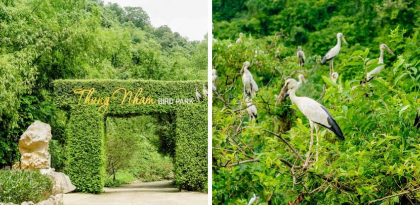 Vườn chim Thung Nham Ninh Bình – Chốn làng quê yên bình