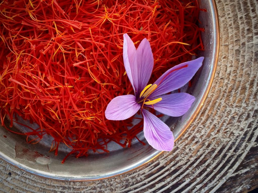 tây á, saffron, nhụy hoa nghệ tây, nghệ tây, tìm hiểu saffron –  gia vị đắt đỏ nhất thế giới