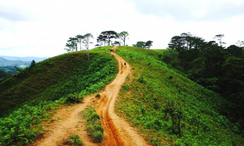 Cung đường Tà Năng – Phan Dũng: Cung đường trekking đẹp nhất Việt Nam