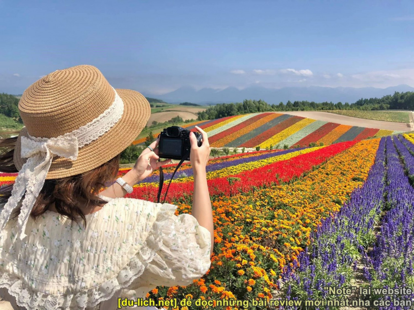 Review đi Hokkaido ngắm hoa + tránh nắng nóng mùa hè