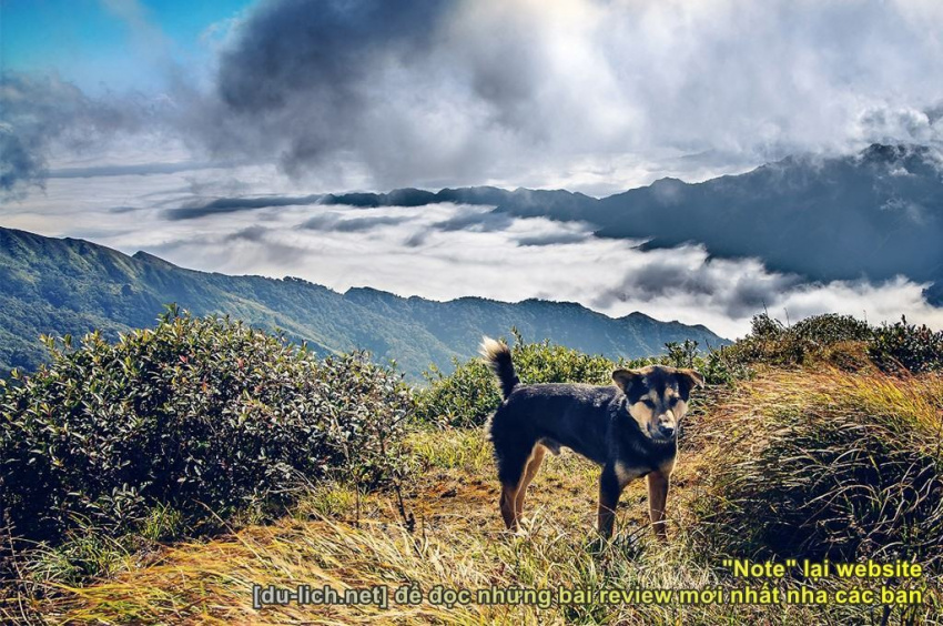 du lịch yên bái có gì đẹp + hấp dẫn, review trekking lùng cúng: “chó còn đi được nữa là người”