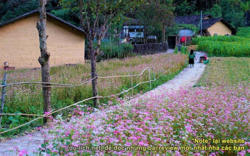 chia sẻ cẩm nang du lịch hà giang chi tiết và sinh động nhất, cách đi chợ phiên sà phìn + dinh vua mèo ở đồng văn