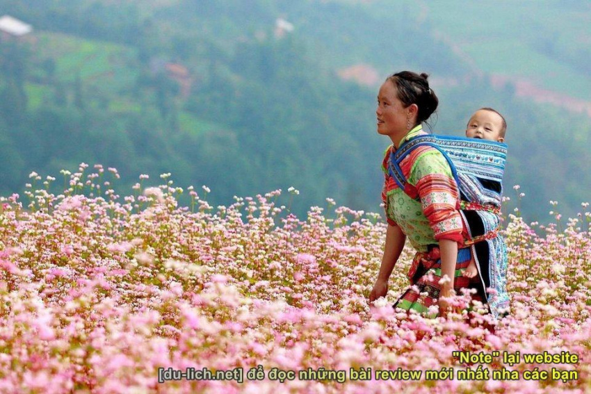 chia sẻ cẩm nang du lịch hà giang chi tiết và sinh động nhất, cách đi chợ phiên sà phìn + dinh vua mèo ở đồng văn