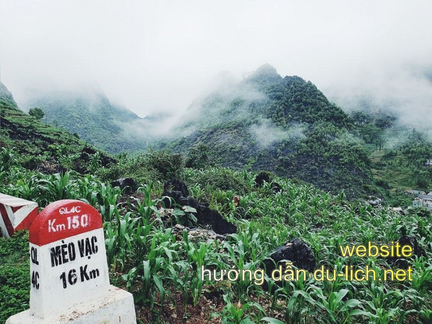 chia sẻ cẩm nang du lịch hà giang chi tiết và sinh động nhất, “chết mê” những cung đường ở hà giang rồi bạn ơi!