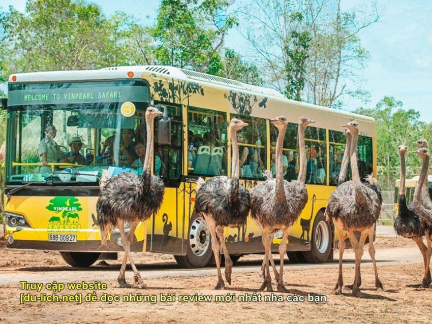 du lịch đảo phú quốc có những gì, [review] mua vé đi safari phú quốc: bỏ 600k, chả có gì!