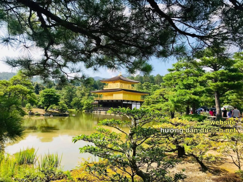 Cách đi chùa vàng Kinkaku-ji, “check in” đền Fushimi Inari