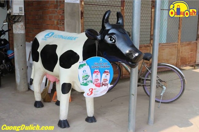 tất tần tật về đặc sản sữa bò long thành đồng nai, tất tần tật về đặc sản sữa bò long thành đồng nai