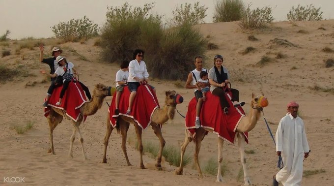 5 Lý Do Bạn Không Nên Bỏ Lỡ Tour Safari Sa Mạc Tại Dubai