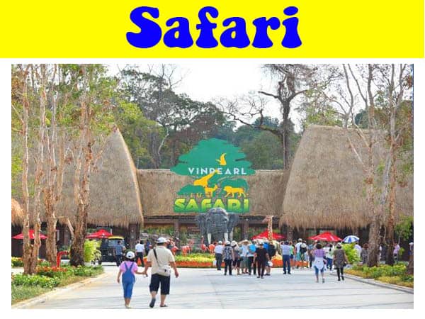 Review Vườn thú Safari Phú Quốc chi tiết từ A-Z