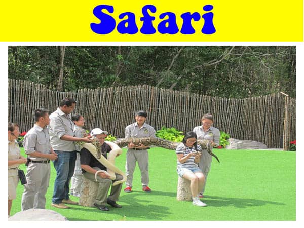 review vườn thú safari phú quốc chi tiết từ a-z, review vườn thú safari phú quốc chi tiết từ a-z