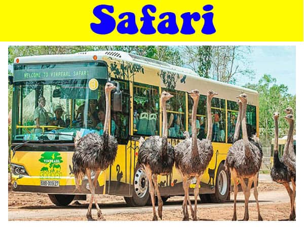 review vườn thú safari phú quốc chi tiết từ a-z, review vườn thú safari phú quốc chi tiết từ a-z